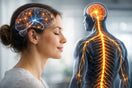 What Is Nervous System Regulation?