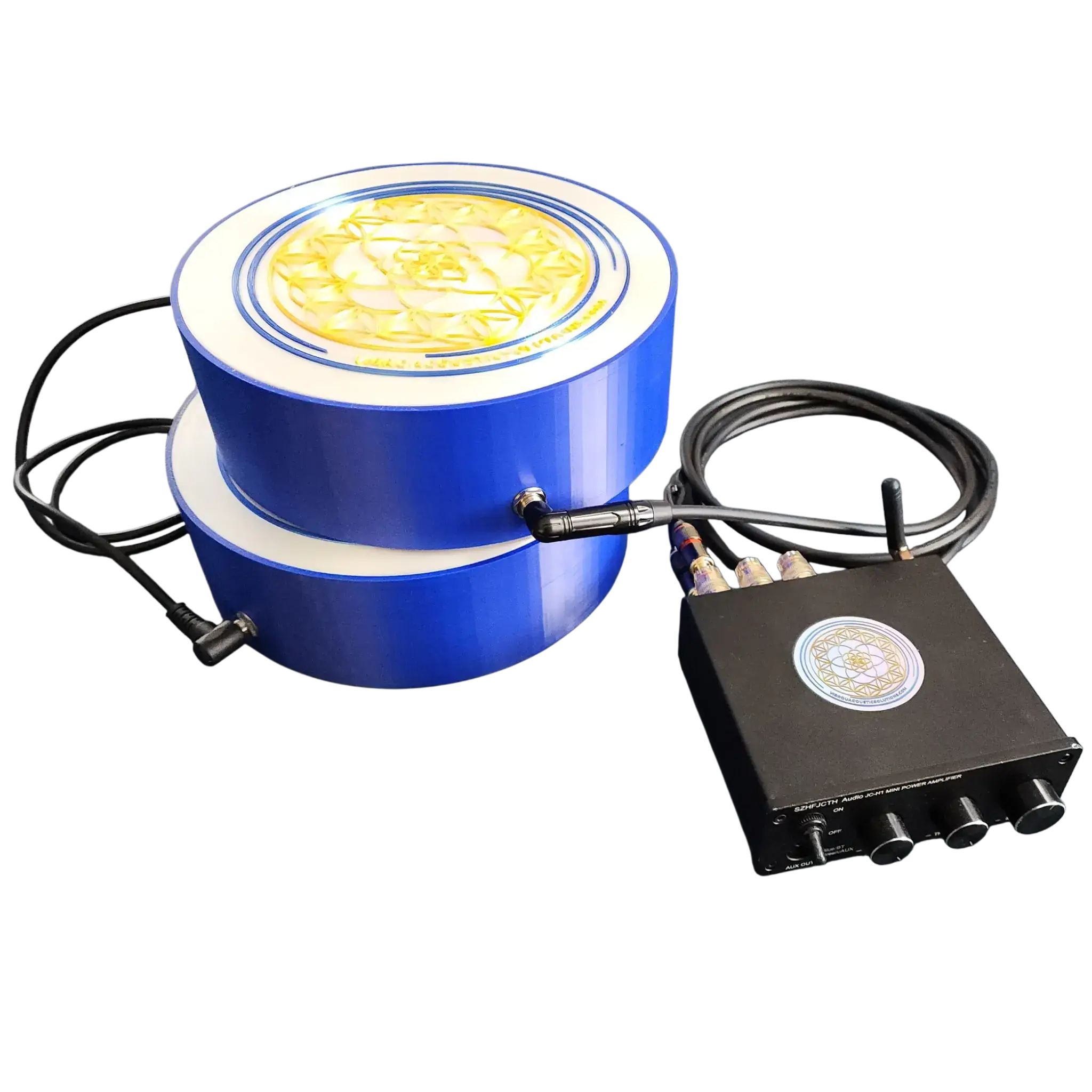Affordable Vibroacoustic Therapy Equipment | VAT DIY KIT