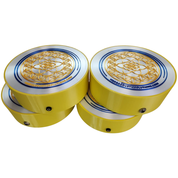 4-Transducer Vibroacoustic Therapy System | Pro Sound Bed Kit (2026)