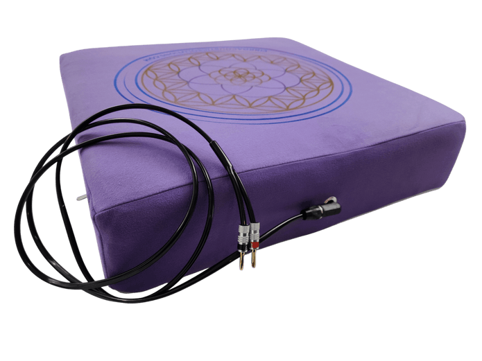 Large Vibroacoustic Therapy Meditation Cushion bundle with custom amplifier - Vibroacoustic Solutions