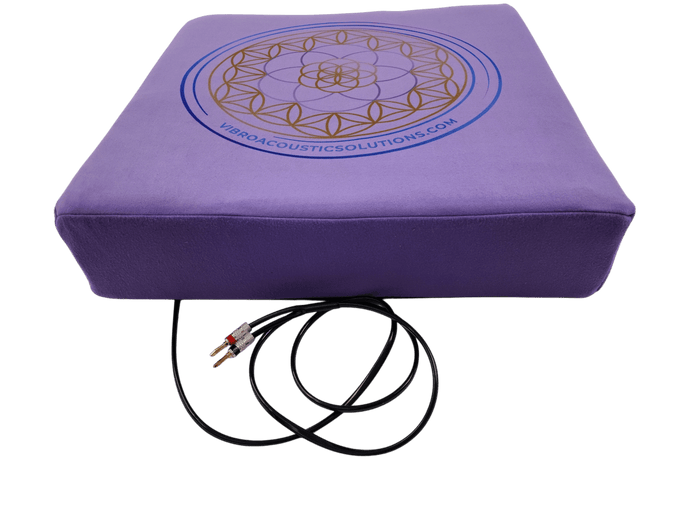Large Vibroacoustic Therapy Meditation Cushion bundle with custom amplifier - Vibroacoustic Solutions