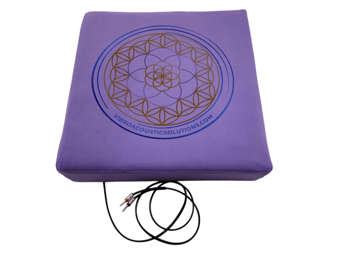 Large Vibroacoustic Therapy Meditation Cushion bundle with custom amplifier - Vibroacoustic Solutions